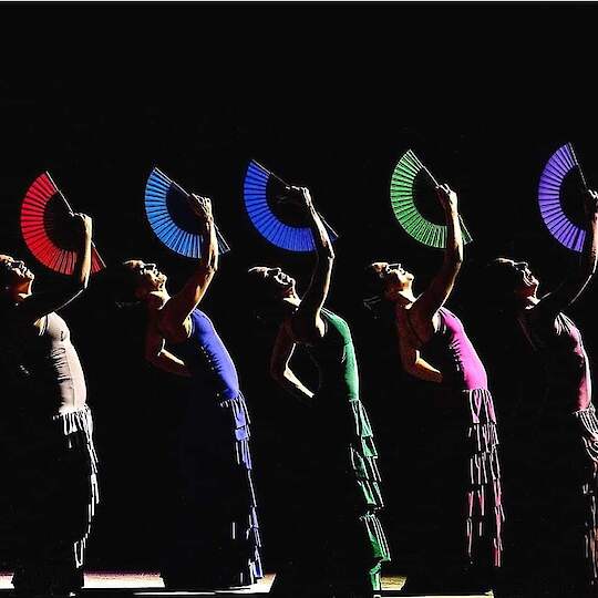 Workshop de Flamenco